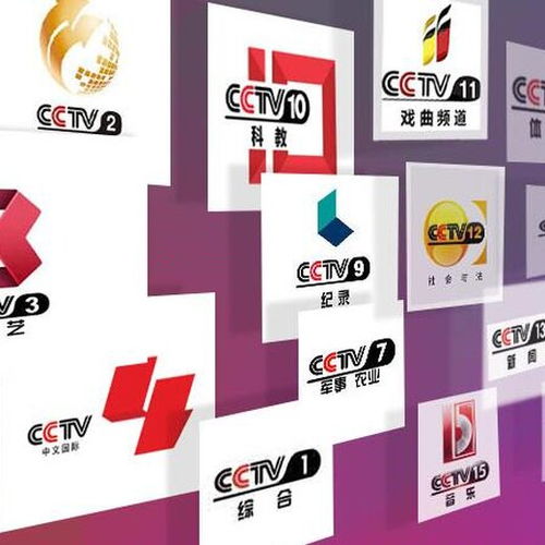 專業(yè)廣告代理服務(wù) 一站式解決您的品牌傳播需求