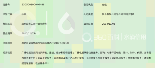 黑龍江廣播電視網(wǎng)絡(luò)股份雙鴨山分公司長虹營業(yè)廳 廣告代理業(yè)務(wù)的專業(yè)之選
